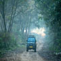 Jim Corbett Safari Ticket Booking - September