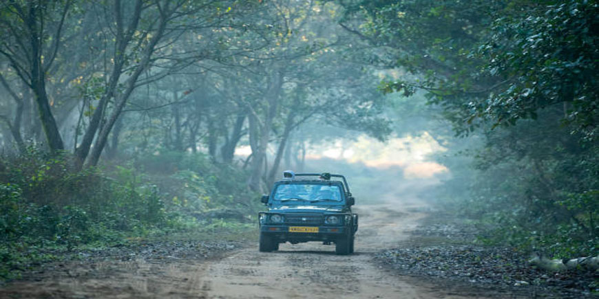 Jim Corbett Safari Ticket Booking - September