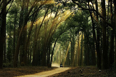 jim corbett corporate outing