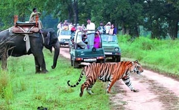 jim corbett jeep safari booking-may, june & july 