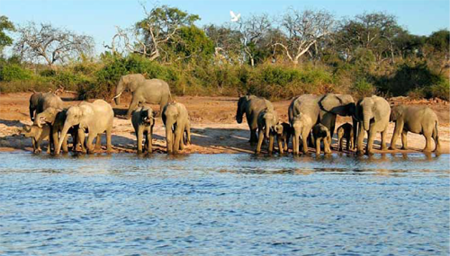 jim corbett weather-temprature- may & june